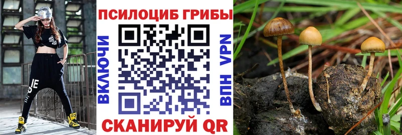 Галлюциногенные грибы Magic Shrooms  цены   Валдай 